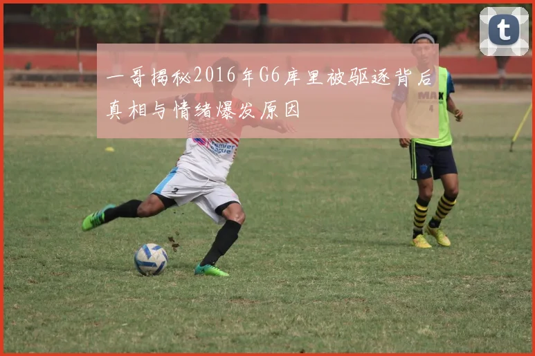 一哥揭秘2016年G6库里被驱逐背后真相与情绪爆发原因